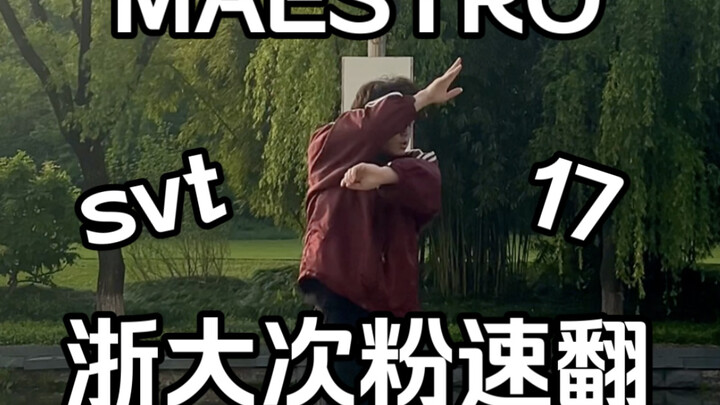 MAESTRO Zhejiang University lần lượt lật nhanh｜SEVENTEEN