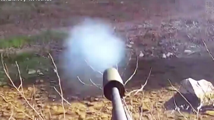 Wild boars are running rampant overseas—Hunter x Hunter could shoot one after another and still not 