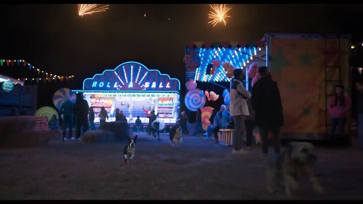 Strays 2023. Watch Full Movie: Link In Description