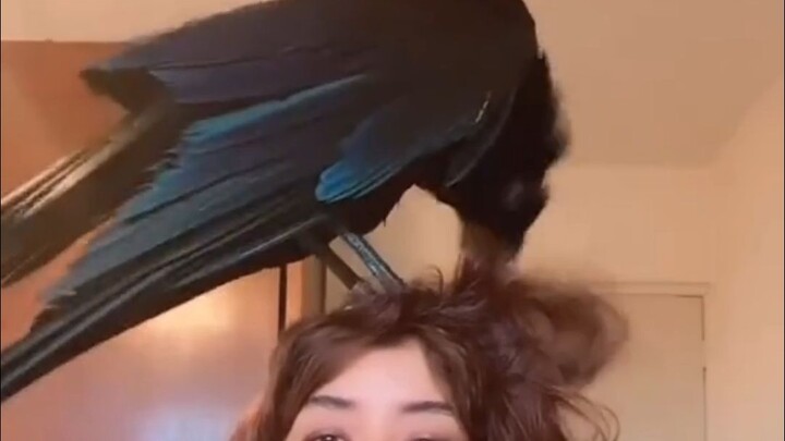 นกเพี้ยนสุดฮาบน TikTok #158