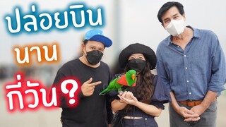 ปล่อยบินนกอิสระได้นานถึงกี่วัน!? EP.216