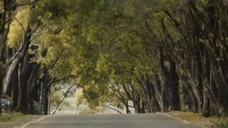 KUTUK Sandy Aulia