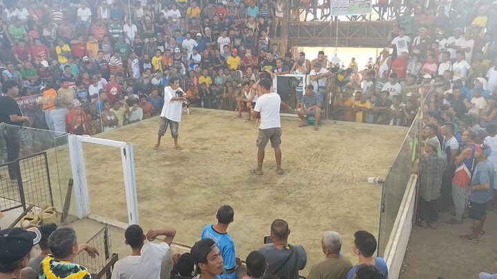 3rd fight Win