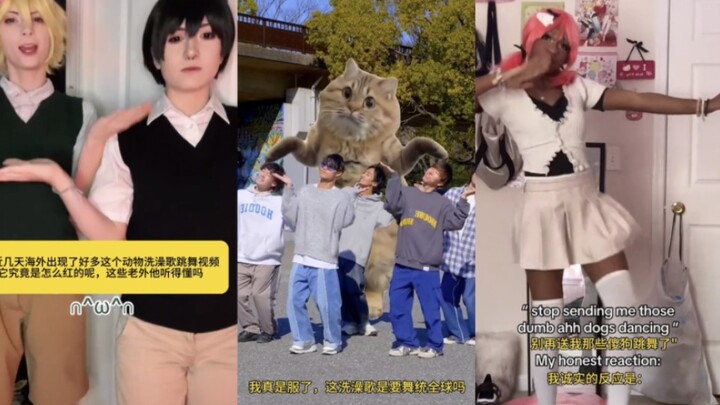 【TikTok】I’m really amazed—does China’s animal bath song plan to dominate the world?