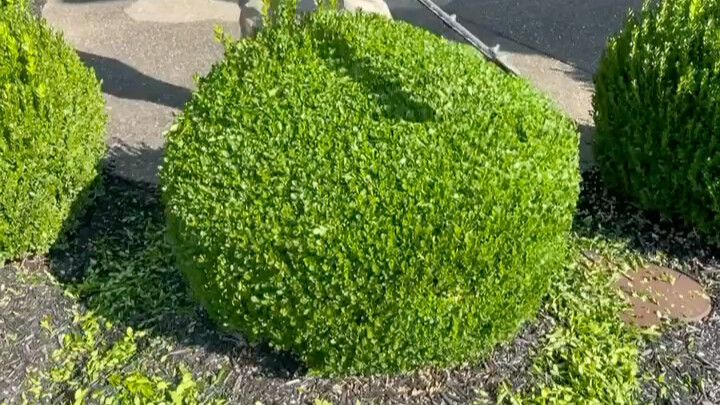 [Video Pelepas Stres Si Tomol] Video Terbaru Sudah Rilis, Yuk Langsung Tonton!