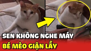 Bé mèo GIẬN LẪY Sen vì gọi ĐIỆN THOẠI mà không chịu NGHE MÁY 😂 | Yêu Lu