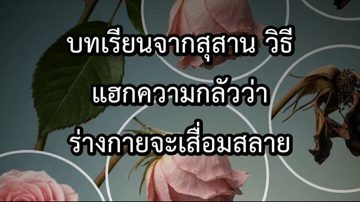 บทเรียนจากสุสาน วิธีแฮกความกลัวว่าร่างกายจะเสื่อมสลาย
