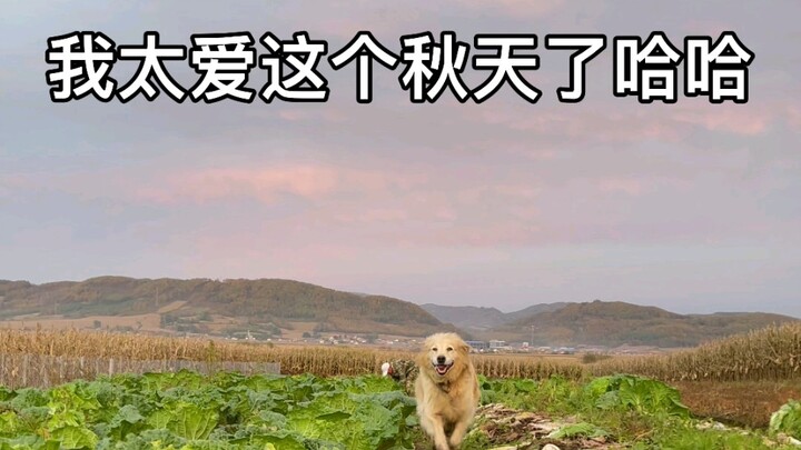 هذا المذاق لا يعرفه إلا الأطفال الذين نشأوا في القرية～