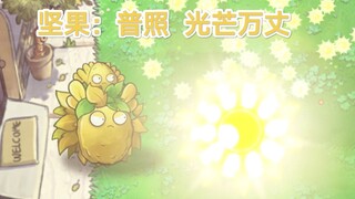 pvz读评论7.0   坚果：普照  光芒万丈