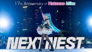 十年老曲 正片首翻｜挣扎着寻找栖身之所☂️Next Nest【初音未来17周年】【秋雪】