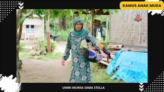 Ummi Murka Sama Stela