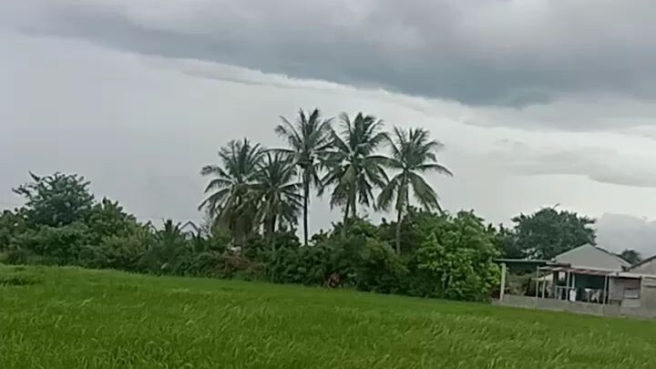 cách đẹp làng quê