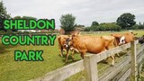 What Can You Do in Sheldon Country Park, Birmingham? | LIFE IN UK