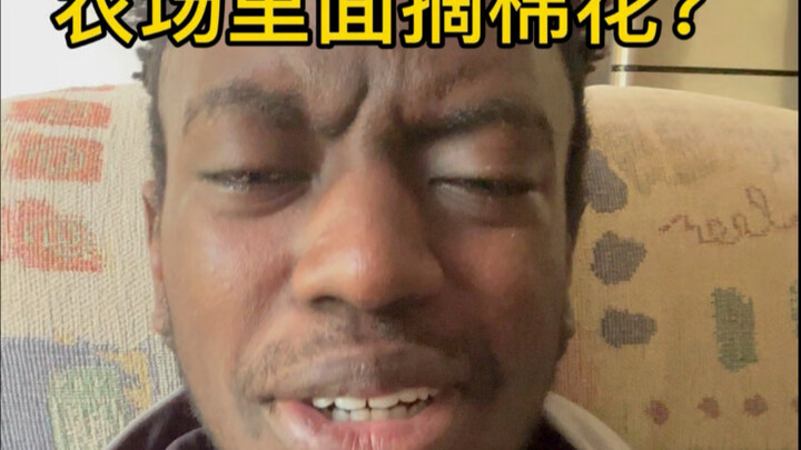 A Realistic Masterpiece Unfolds