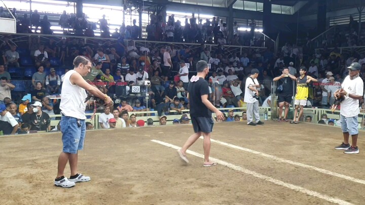 4lineGf Bulik Accurate