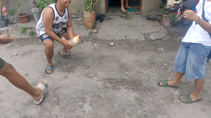 win nanaman