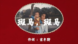 来感受一下Hi-Res 24bit/192kHz音质的《斑马斑马》吧