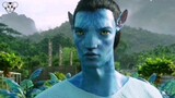 【Avatar】1. Di balik layar vs. film