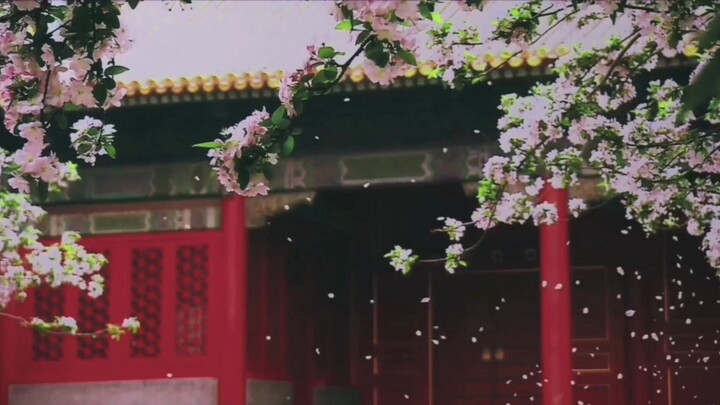 【Potongan Campuran】Pemotretan pertama para selir dalam Cinta Kerajaan Ruyi di Istana