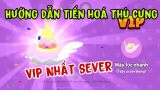 Play Together | Cập Nhật Thú Cưng Tiến Hoá Vip Nhất Sever -NamThanVlog