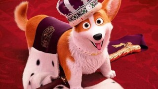 THE QUEENS CORGI