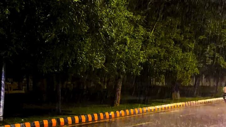 Rainy Night Vibes 🌧️✨ | Peaceful Rain & Beautiful Road
