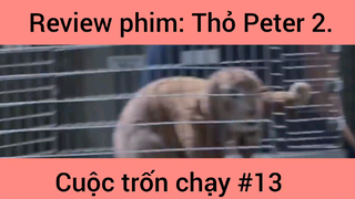 Review phim: Thỏ Peter Cuộc Trốn Chạy Phần 13