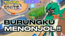 KETIKA BURUNGKU PALING MENONJOL DAN KUAT !! AUTO BISA GENDONG TIM 🦉✌️