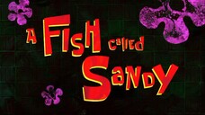 a fish called sandy s15