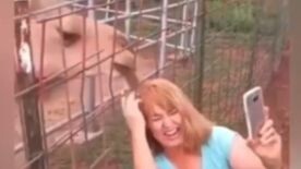 รวมคลิมตลก funny fails