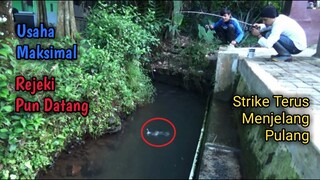 Mancing Di Selokan Kecil - Kalau Sudah Strike Rasa Lelah Pun Jadi Lupa Broo