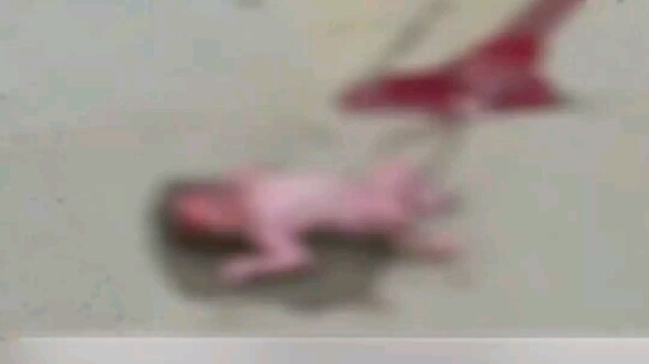 Hiện trường tai nạn giao thông thảm khốc