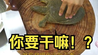 Japanese Lolita was horrified when she saw Wang Gang making turtle soup, but when she heard it was e