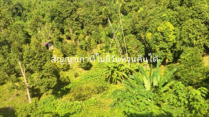 สัญญาเก่า