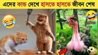 পশু-পাখিদের এমন কান্ড দেখে হাসি থামাতে পারবেন না😂 | Funny Animals Video 2022 | Animal Moments P-37