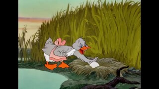 Tom and Jerry and duck fighting 🤬😂🤣🤣🤣🤣🤣 funny 🤣🤣🤣🤣 funny 🤣🤣🤣 funny 🤣🤣