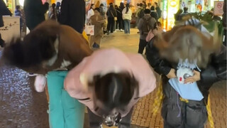 不可能有恩静在澳门cha这个所以来billy poco了….