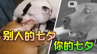 أليس هذا أنت اليوم؟