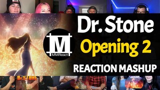 Dr. Stone Opening 2 | Reaction Mashup