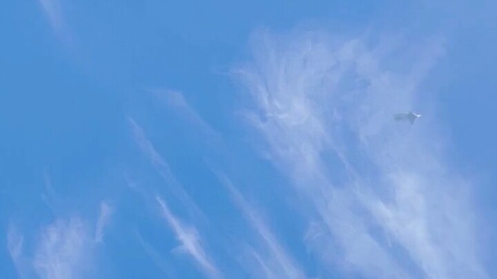 Holy shit, am I seeing this right!?