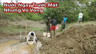 Tập 281||Nhiệm vụ bất khả thi của xóm rừng||2Q Vlogs Cuộc sống Châu Phi