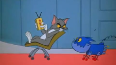 153-O-Solar-Meow [1967]