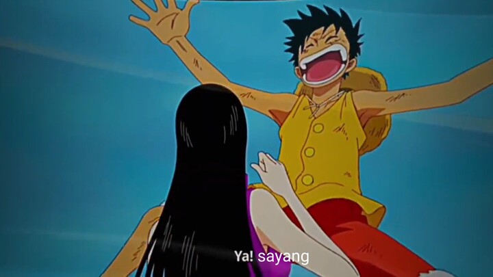 ketika hammock di peluk, luffy nya...