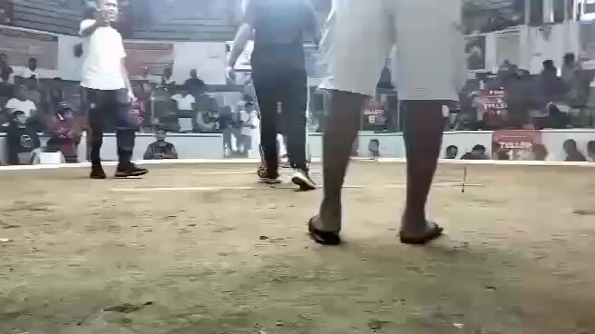 Panalo si bulok💸🤑