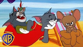 टॉम और जरी लड़ाई/Tom and Jerry  2024 cartoon @MrBeast