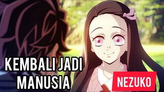 Nezuko Kembali Menjadi manusia [Part 1]