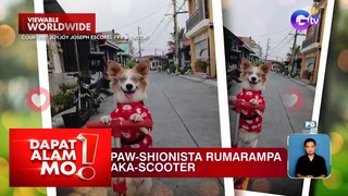Aso, kinaaliwan sa kanyang pagiging fashionista | Dapat Alam Mo!