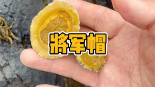 Món này sẽ được ăn hết chỉ trong vài giây ở Trung Quốc!