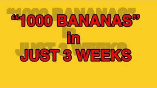 1K SUBSCRIBERS IN JUST 12 DAYS IN 3 WEEKS