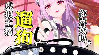 虚拟主播遛狗第一人！喜欢……被我牵着走吗？